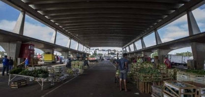 Trigo e hortifrútis podem ser gargalo de oferta no país com o coronavírus