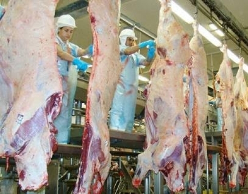Habilitação de frigoríficos para exportação à China é paralisada por vírus