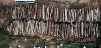 O dilema da madeira da Amazônia