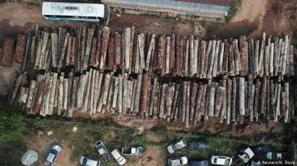 O dilema da madeira da Amazônia