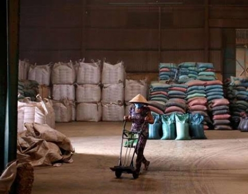 Exportação de café do Vietnã deve ter alta de 4,5% entre janeiro e abril