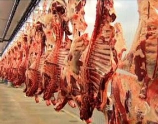 EUA: Cortes na produção de carnes podem favorecer vendas do Brasil à China 