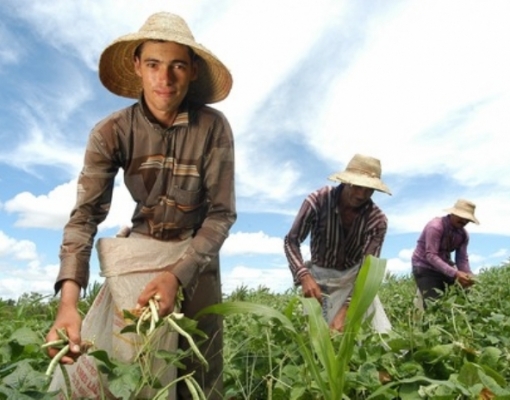 CNA:  Corte de juros e R$13,5 bi para subvenção de taxas no Plano Safra 