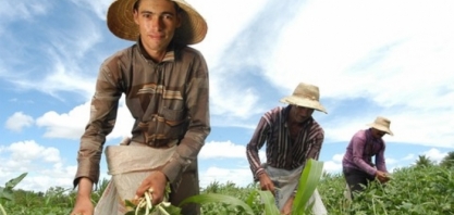 CNA:  Corte de juros e R$13,5 bi para subvenção de taxas no Plano Safra 