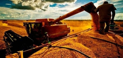 Anec projeta exportação de 11,9 mi t de soja em maio após recorde em abril