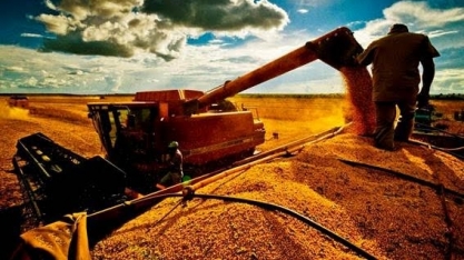 Anec projeta exportação de 11,9 mi t de soja em maio após recorde em abril