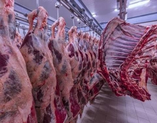 Frigoríficos devem reduzir abate para proteger trabalhador na pandemia