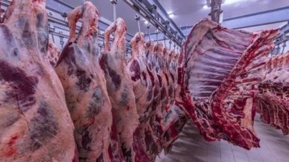 Frigoríficos devem reduzir abate para proteger trabalhador na pandemia