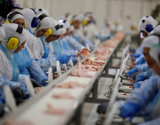 Agricultura dá orientações para frigoríficos na pandemia da Covid-19