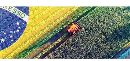 Safras são recordes, mas os consumidores terão renda?