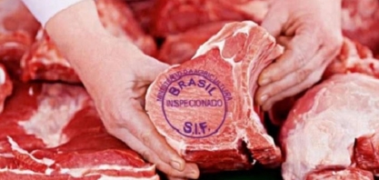 Carne bovina do Brasil começa a chegar aos EUA