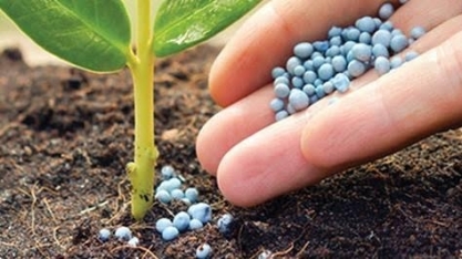 Agronegócio pede linha de crédito específica para compra de fertilizantes 