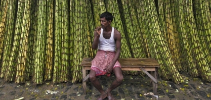 Açúcar: Produção da Índia cai quase 20% até fim de abril ante ano anterior