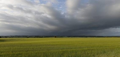 Clima causa impacto na safra 2019/2020 de grãos