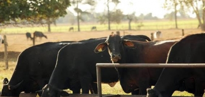 Após alta de março, leite longa vida perde força em abril