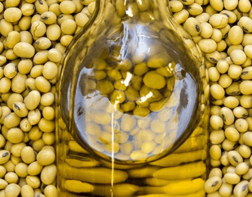 Biodiesel:MME recusa pedido para elevar mistura para 13% a partir de julho