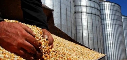 MT: Grupo norte-americano quer construir usina de etanol de milho