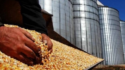 MT: Grupo norte-americano quer construir usina de etanol de milho