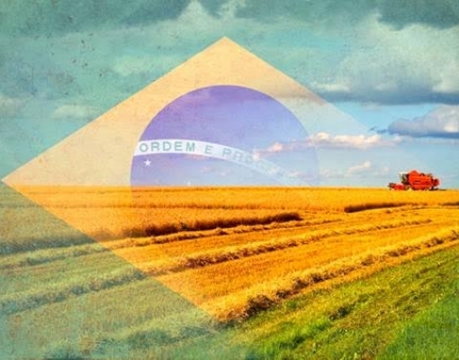 Plano Safra 2020/21:Lançamento em 15/6;R$ 3,2 bi para equalização de juros