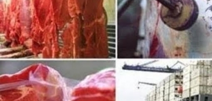 Brasil abre mercado para exportar carne bovina e miúdos à Tailândia