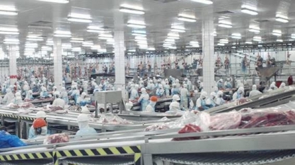 Escalada do dólar leva JBS a prejuízo de R$5,9 bi no 1º tri 