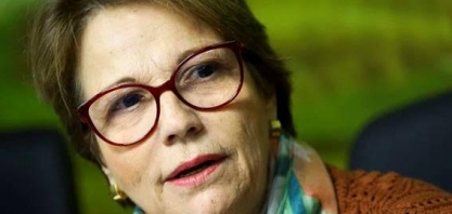 Exportação agropecuária em alta não ameaça abastecimento interno