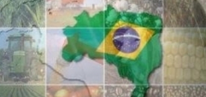 VBP do Brasil deve atingir recorde de R$697 bi em 2020, diz ministério