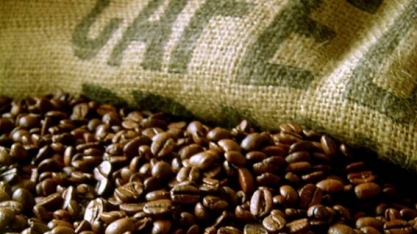 Café: Safra 2020/21 deve crescer 15% e atingir recorde de 67,9 mi de sacas