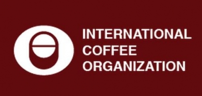 Setor privado nacional vai desenvolver proposta de reestruturação da OIC