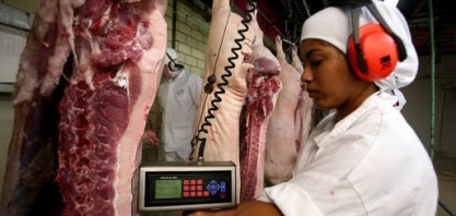 Exportação de carne suína deve superar expectativa, aponta ABPA