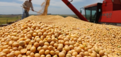 Preço da soja atinge recorde e abre janela para fixação, diz Itaú BBA 