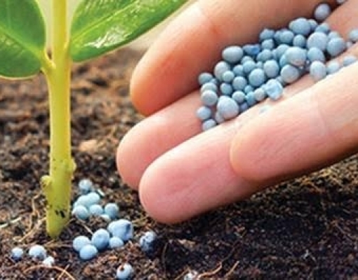 Fertilizantes: Volume em 2019 foi 2,1% superior e somou 36,2 milhões de t