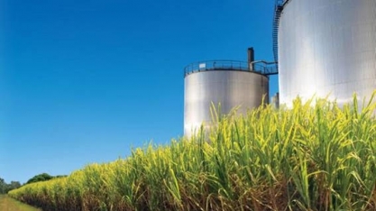 Etanol e açúcar: usinas não conseguem financiar início da safra