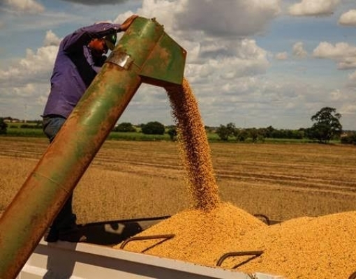 China teme falta de soja por causa do aumento da Covid-19 no Brasil