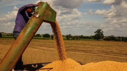 China teme falta de soja por causa do aumento da Covid-19 no Brasil