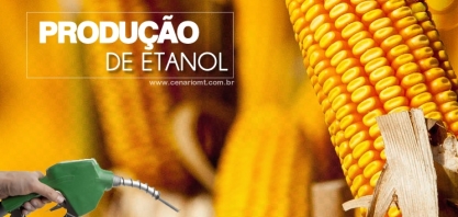 Etanol de milho: com baixa demanda, usinas suspendem atividades
