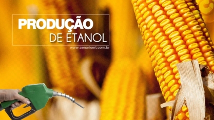 Etanol de milho: com baixa demanda, usinas suspendem atividades