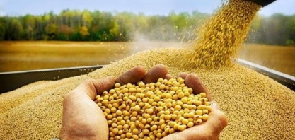 Soja: Agromensal Cepea abril/2020