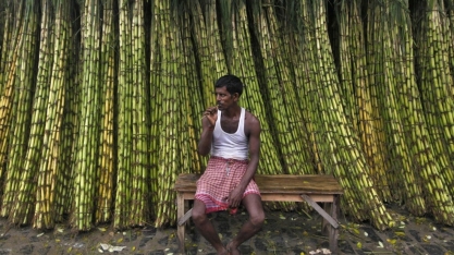 Índia: produção de açúcar cai 18,8% de outubro até 15 de maio