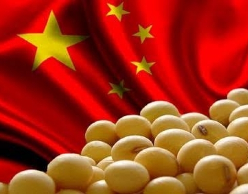 Demanda chinesa: Exportação do agro cresce 6% no 1º quadrimestre de 2020 