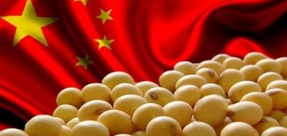 Demanda chinesa: Exportação do agro cresce 6% no 1º quadrimestre de 2020 