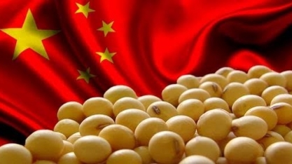 Demanda chinesa: Exportação do agro cresce 6% no 1º quadrimestre de 2020 