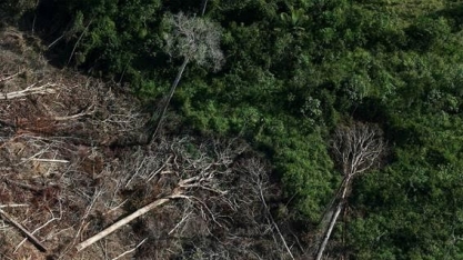 Desmatamento na Amazônia tem tendência de alta no ano