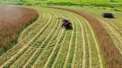 O papel da tecnologia na reinvenção do agronegócio pós-coronavírus
