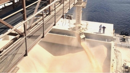 Açúcar: Movimentação nos portos em maio é quase 5 vezes a de maio de 2019  