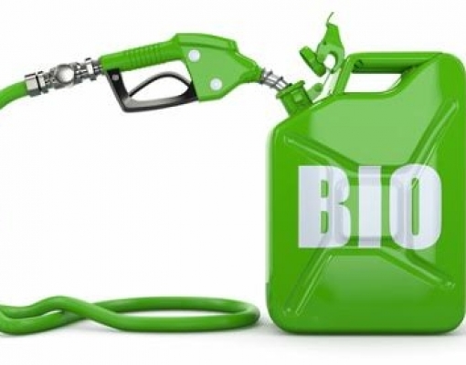 Biocombustíveis: o futuro do Brasil - Por Milton Steagall