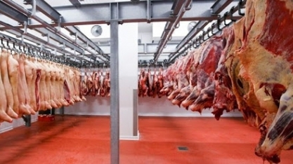  Participação asiática na exportação de carne bovina gera otimismo e alerta
