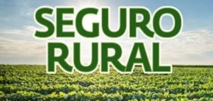Seguro rural: Ministério lança aplicativo para acesso a informações