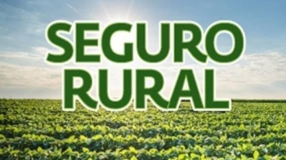 Seguro rural: Ministério lança aplicativo para acesso a informações