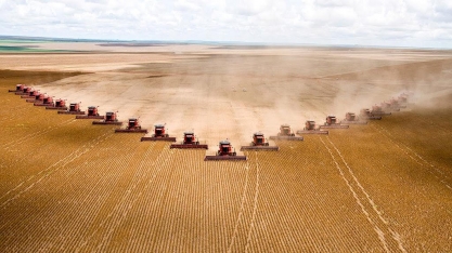 A pandemia e o agronegócio – Por Octaciano Neto*